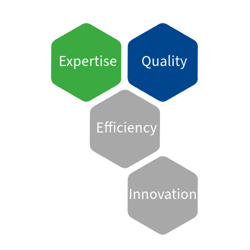 Picture Strengths and Competencies